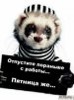 митяй804