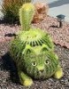 Cactus96