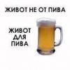 vesel