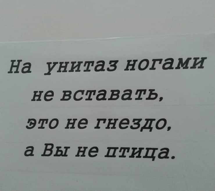 На унитаз ногами не вставать картинки для печати