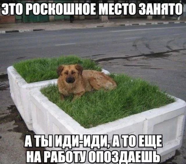 Демотиваторы про девушек