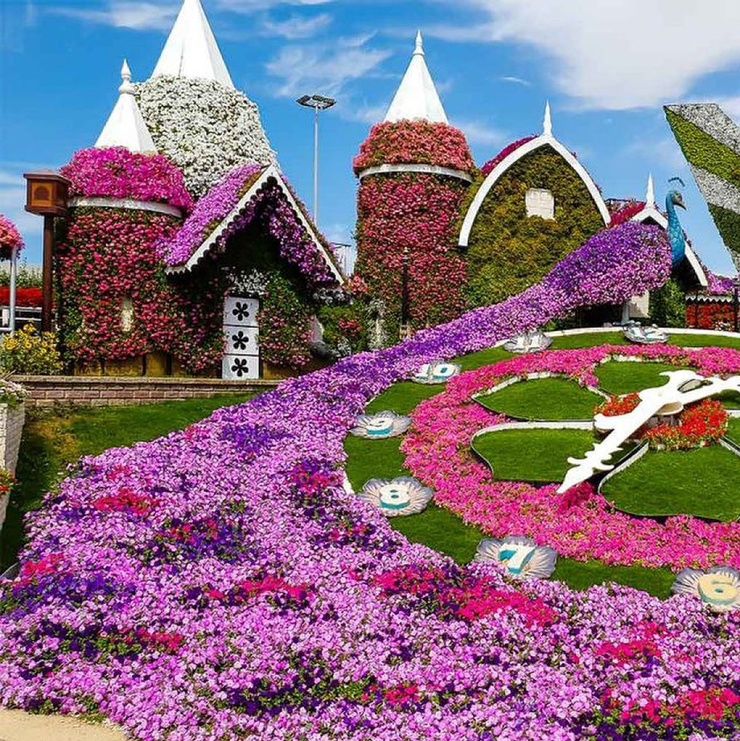 Парк цветов Dubai Miracle Garden