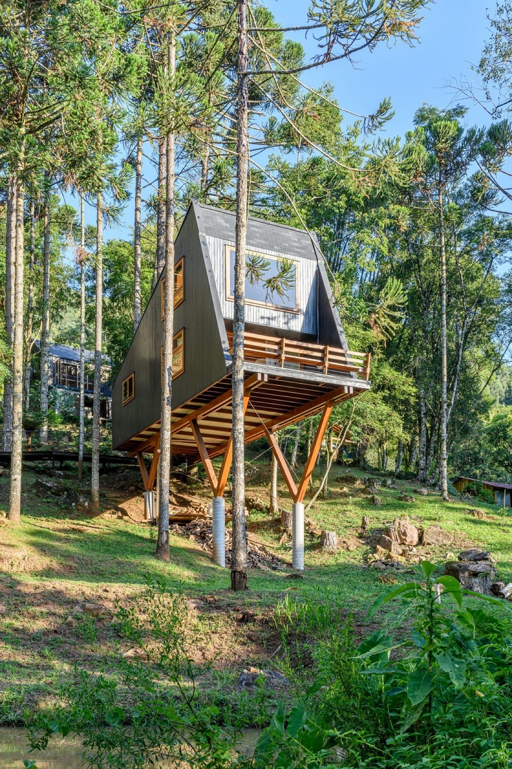 Дом на дереве» над лесом в Бразилии (29 фото) | Екабу.ру - развлекательный  портал