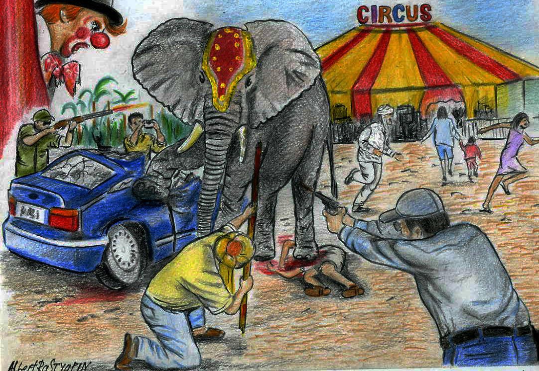 Рисунок на тему цирк. Цирк иллюстрации для детей. Слон в цирке. Художник в цирке слон. Сбежавший цирк