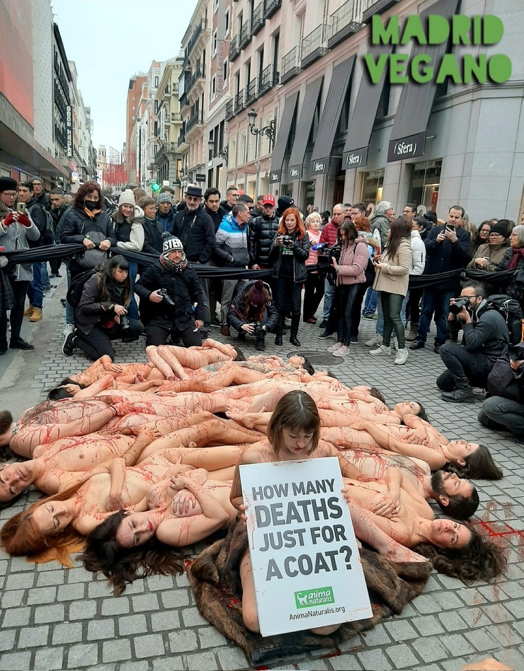 Голый протест зоозащитников в Мадриде