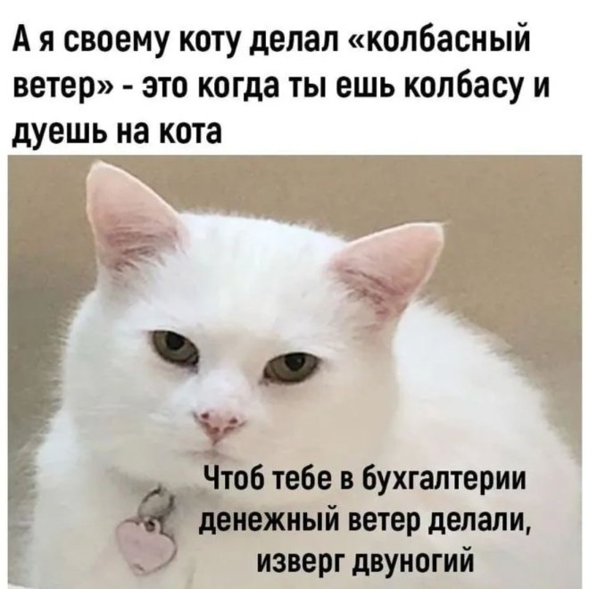 Улыбайтесь, господа, улыбайтесь! (16/04/2025)