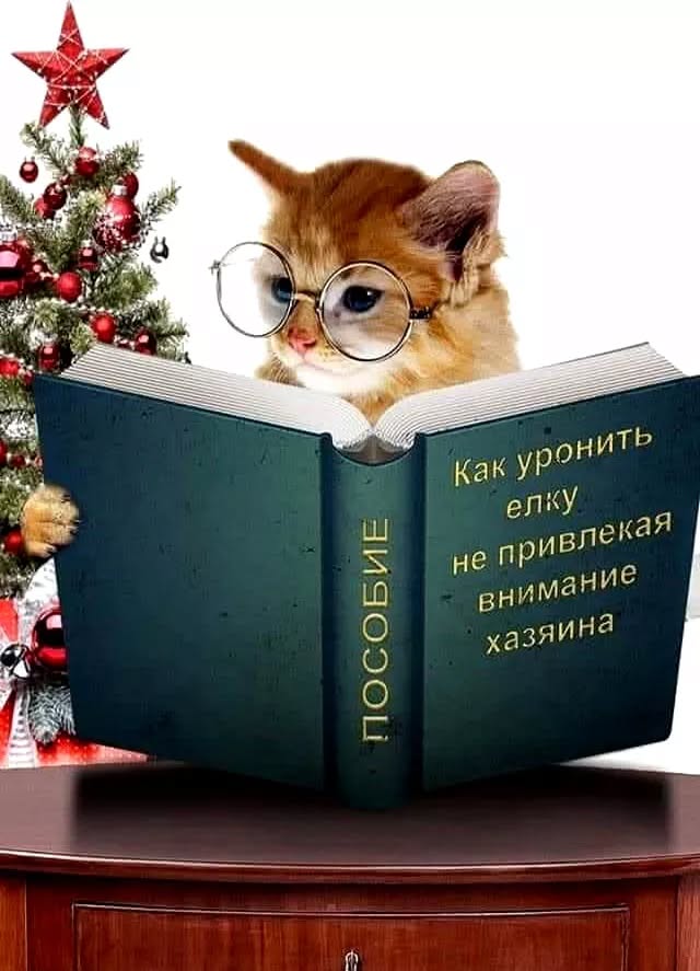 Улыбайтесь, господа, улыбайтесь! (23/12/2024)