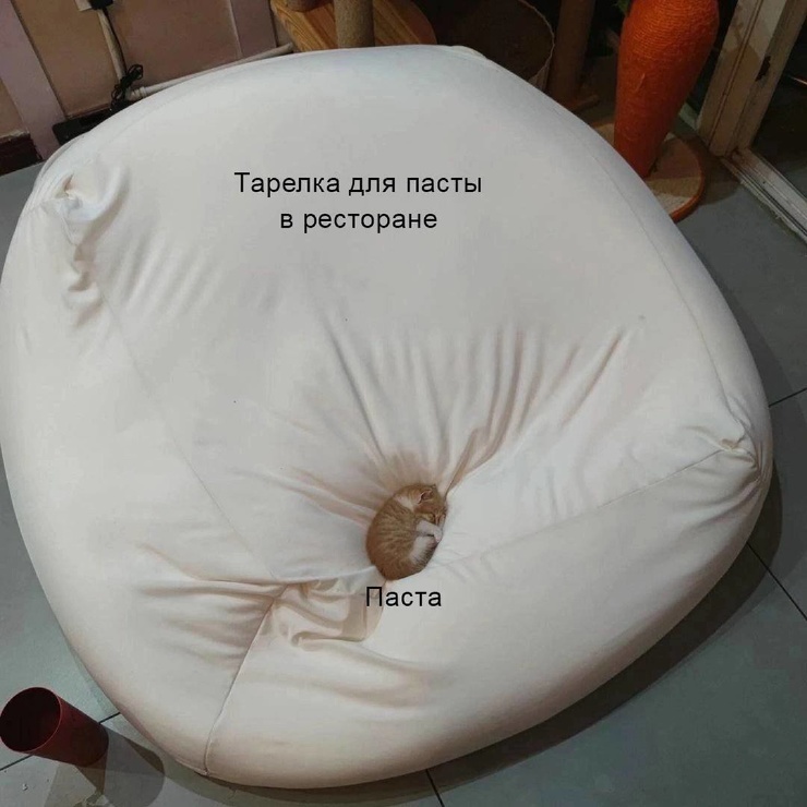 Улыбайтесь, господа, улыбайтесь! (05/06/2025)