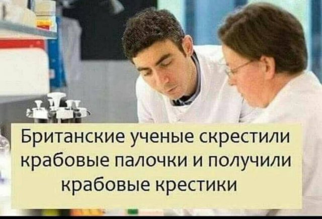 Улыбайтесь, господа, улыбайтесь! (27/11/2024)