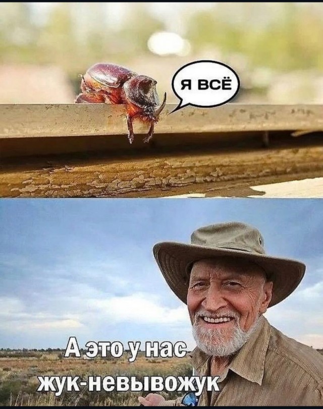 Улыбайтесь, господа, улыбайтесь! (18/11/2024)