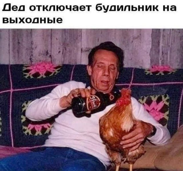 Улыбайтесь, господа, улыбайтесь! (05/11/2024)