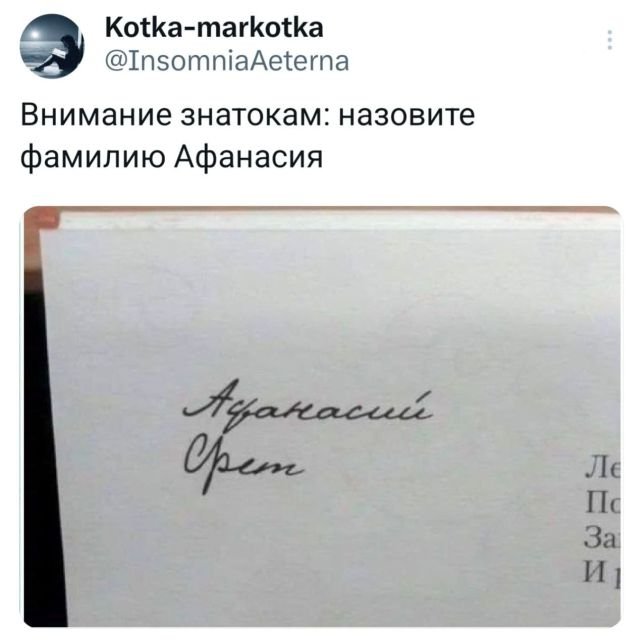 Подборка забавных твитов (13/12/2024)