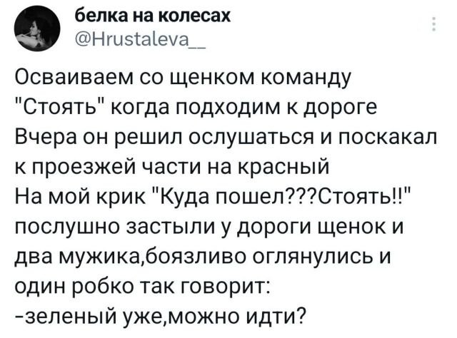 Подборка забавных твитов (07/04/2024)