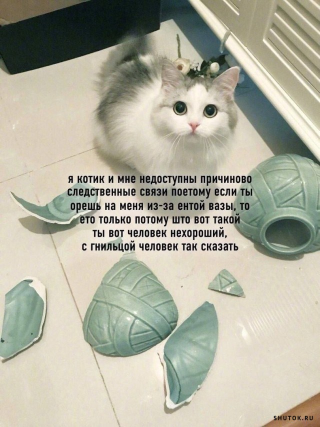 Улыбайтесь, господа, улыбайтесь! (23/10/2024)