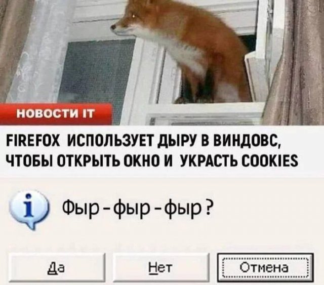 Лучшие шутки и мемы (11/10/2024)