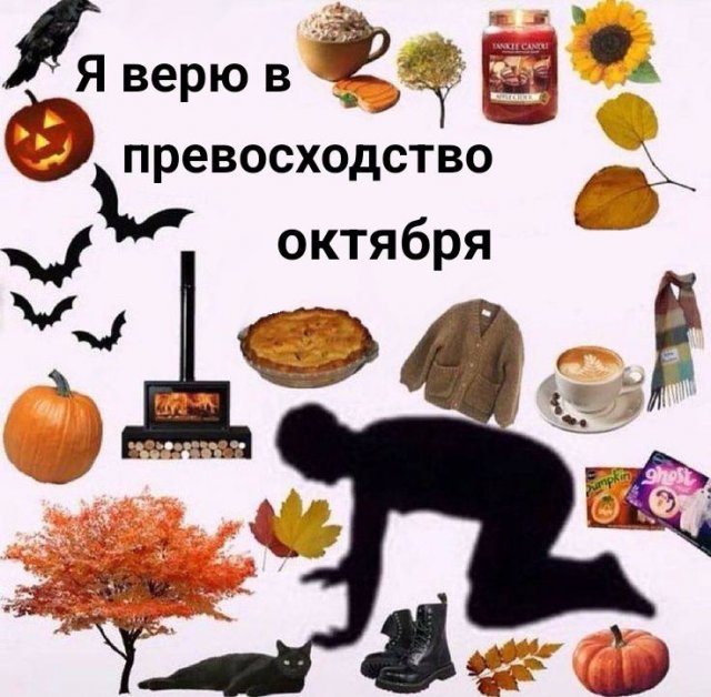 Лучшие шутки и мемы (11/10/2024)