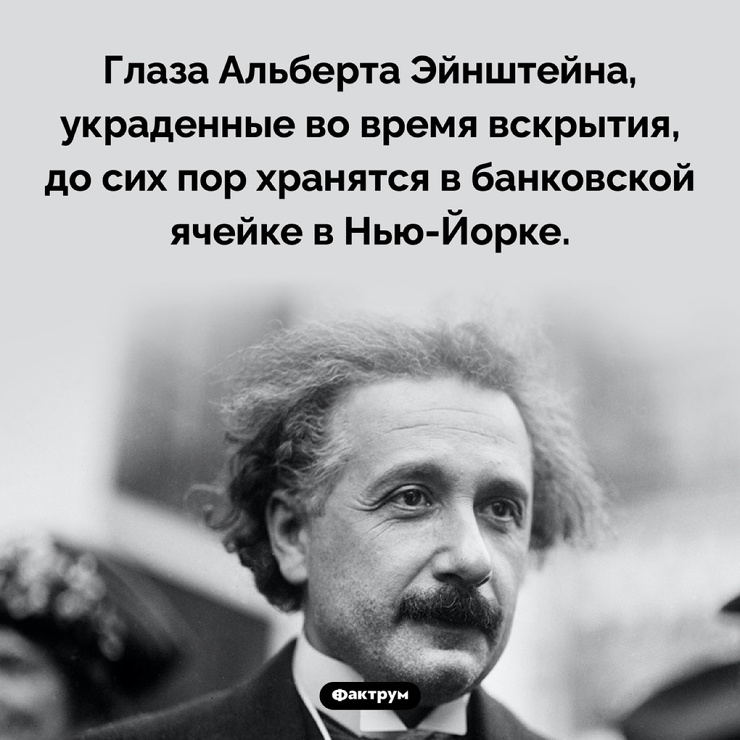 Улыбайтесь, господа, улыбайтесь! (10/03/2025)