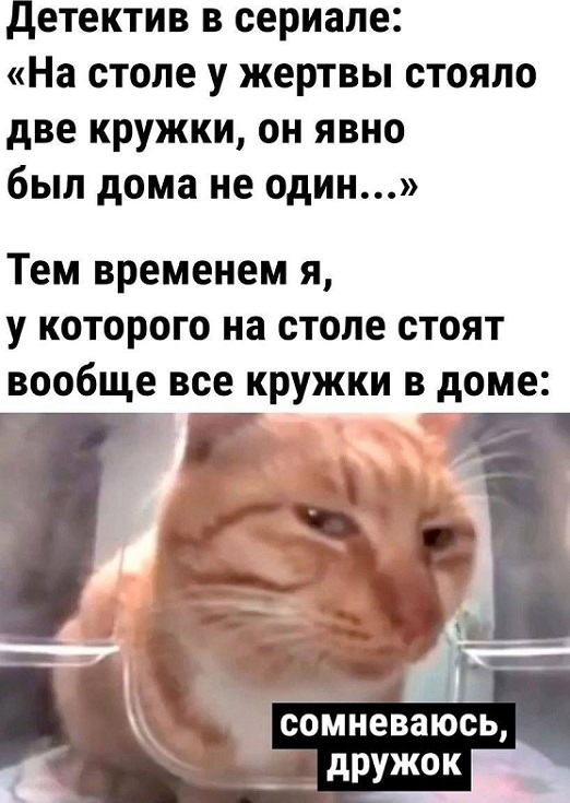 Улыбайтесь, господа, улыбайтесь! (21/11/2024)