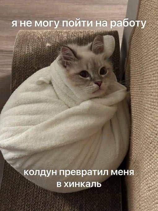 Улыбайтесь, господа, улыбайтесь! (05/06/2025)
