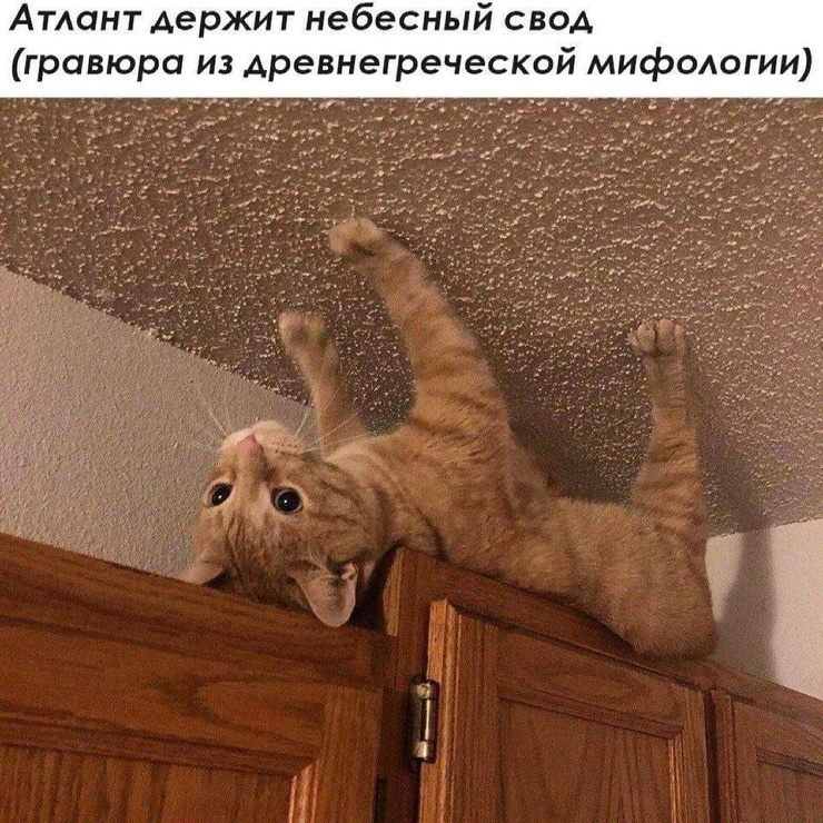 Улыбайтесь, господа, улыбайтесь! (02/05/2025)