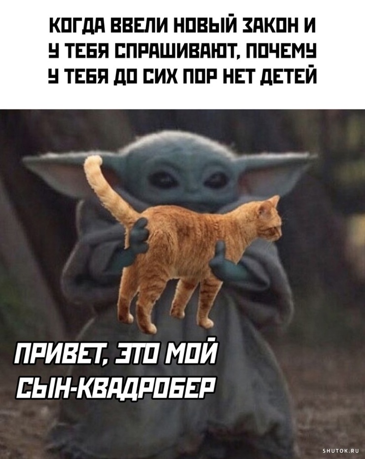 Улыбайтесь, господа, улыбайтесь! (18/10/2024)