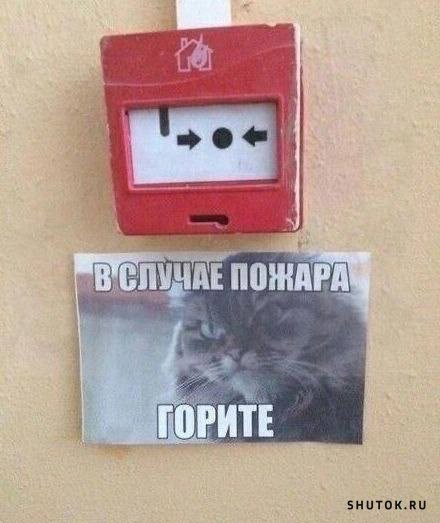 Объявления и вывески