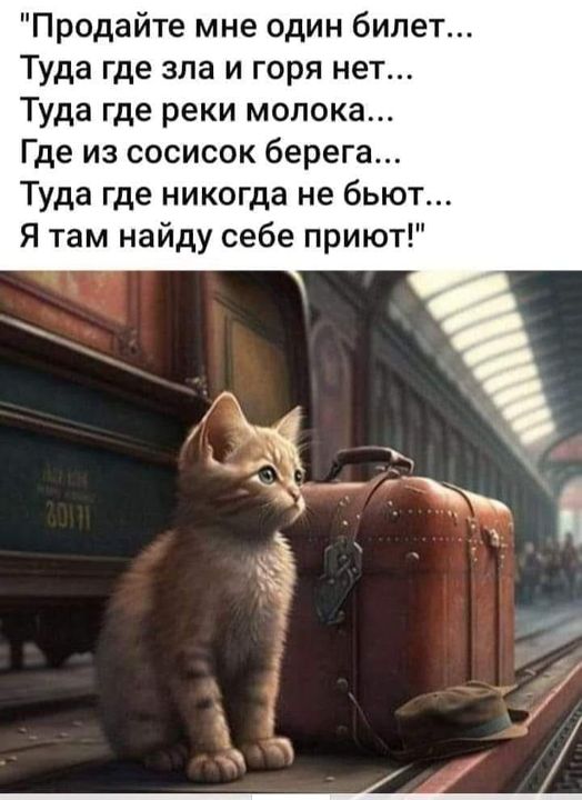 Улыбайтесь, господа, улыбайтесь! (21/11/2024)