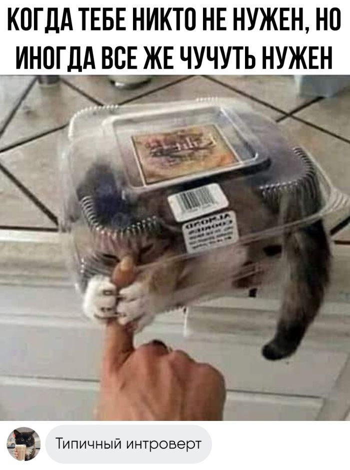 Улыбайтесь, господа, улыбайтесь! (26/11/2024)