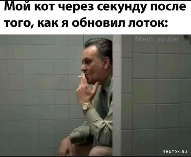 Улыбайтесь, господа, улыбайтесь! (11/10/2024)