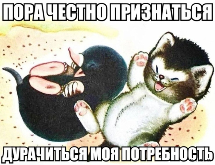 Улыбайтесь, господа, улыбайтесь! (24/10/2024)