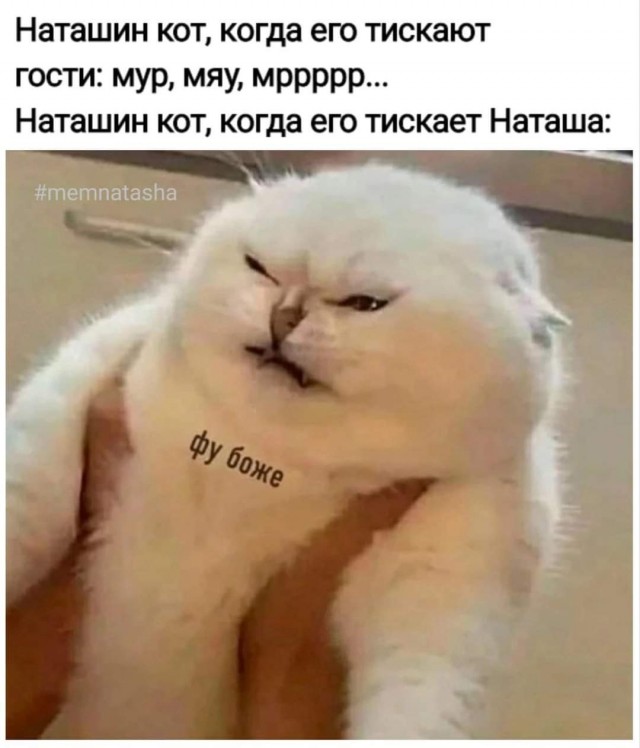 Улыбайтесь, господа, улыбайтесь! (13/11/2024)