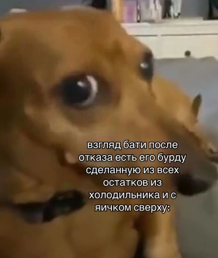 Улыбайтесь, господа, улыбайтесь! (05/06/2025)