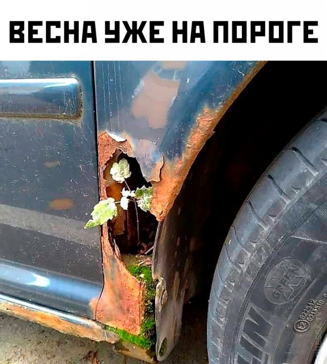 Улыбайтесь, господа, улыбайтесь! (04/03/2024)