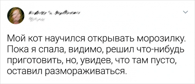 Подборка забавных твитов (10/06/2024)