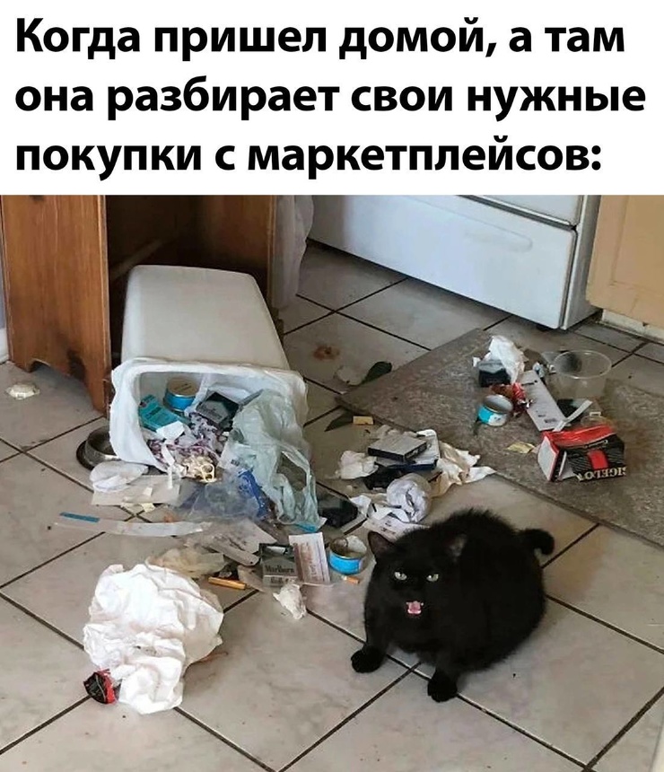 Улыбайтесь, господа, улыбайтесь! (05/06/2025)