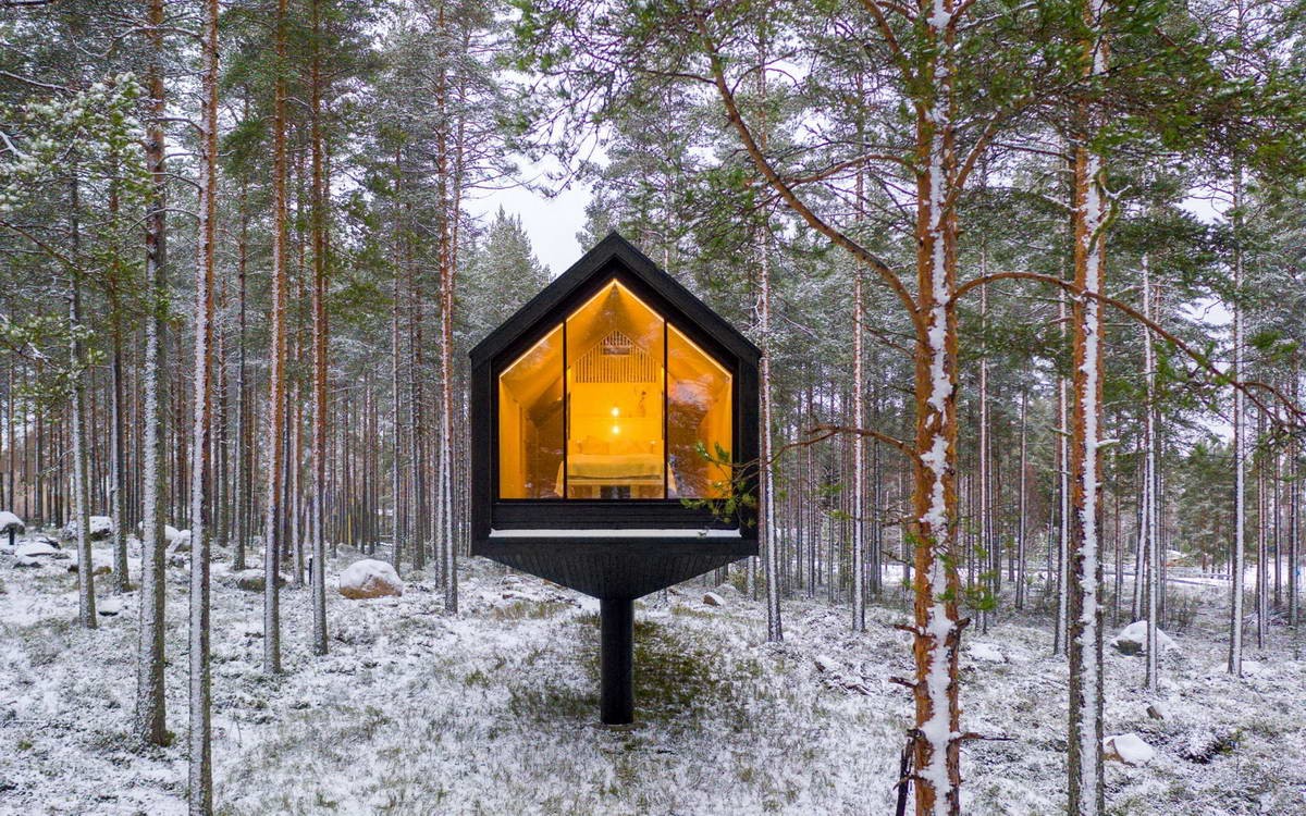 Необычный дом в лесу