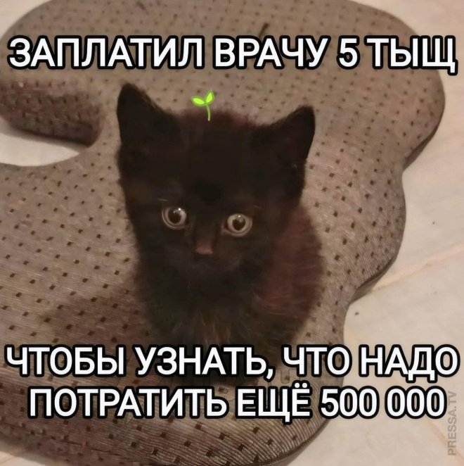 Улыбайтесь, господа, улыбайтесь! (16/09/2024)