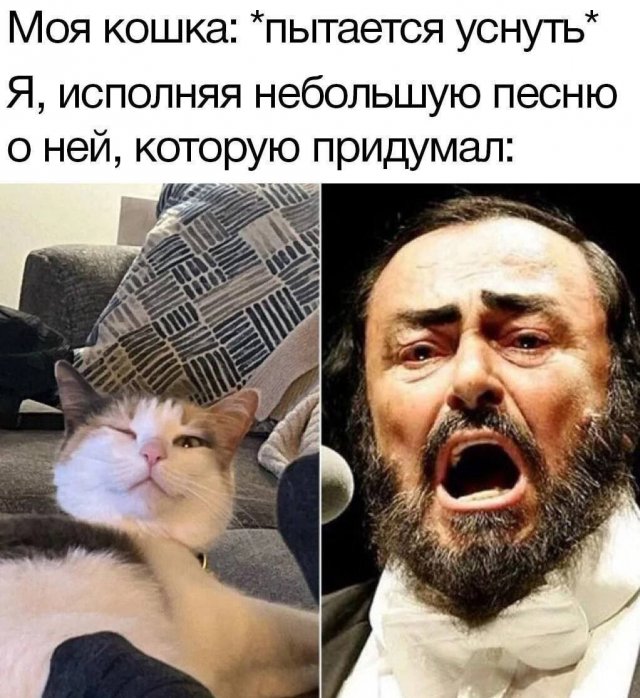 Лучшие шутки и мемы (23/10/2024)