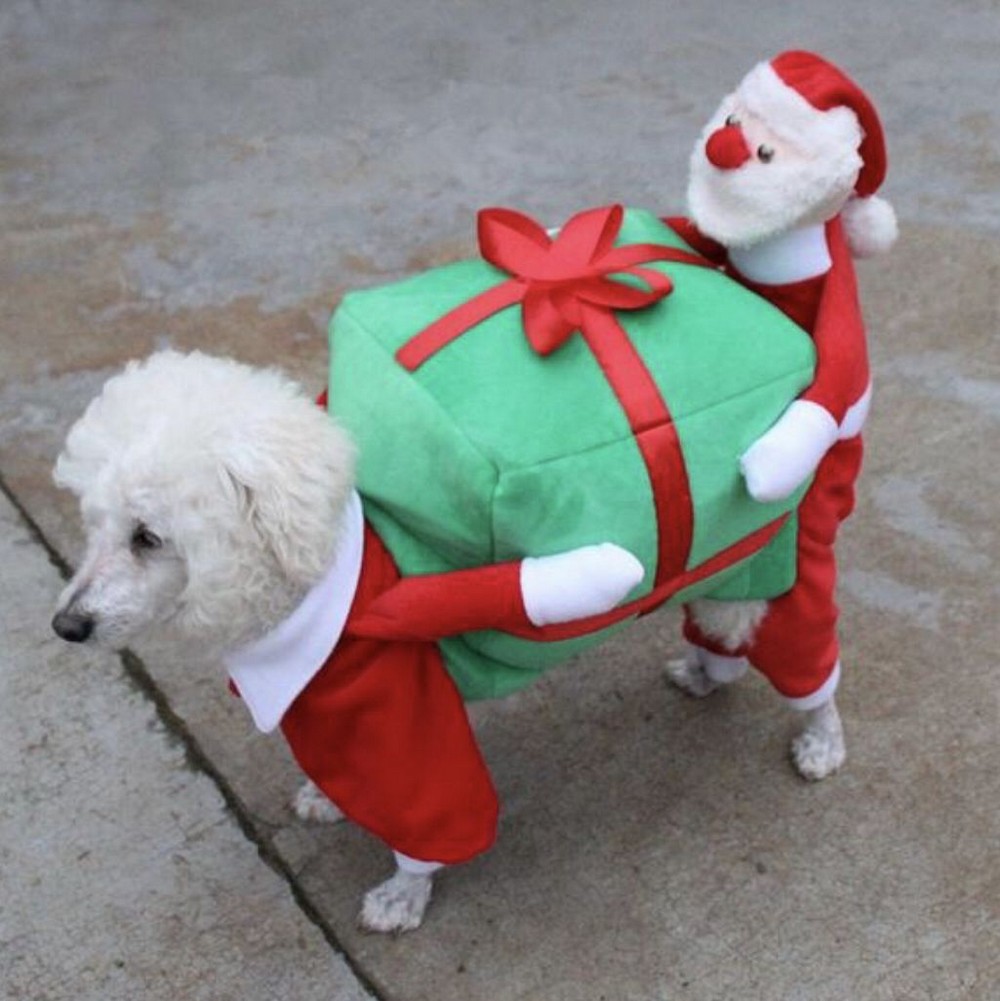 Новогодние костюмчики для собак
