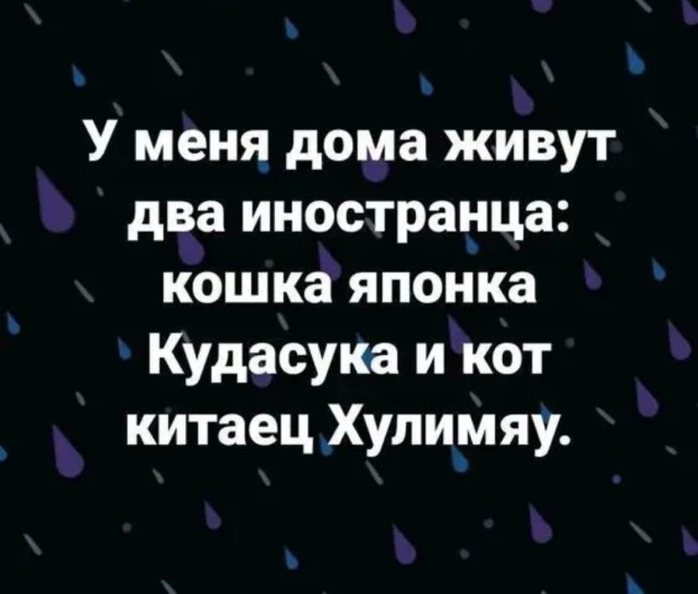 Улыбайтесь, господа, улыбайтесь! (13/11/2024)