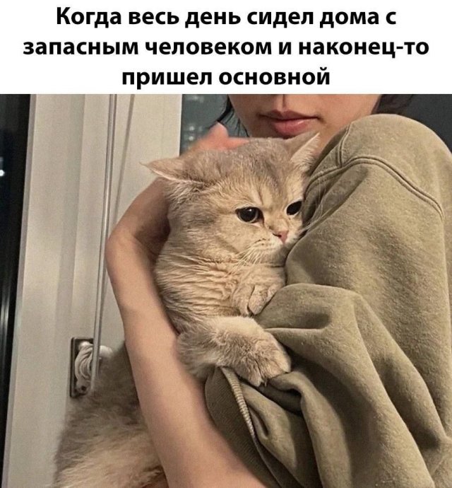 Смешные мемы