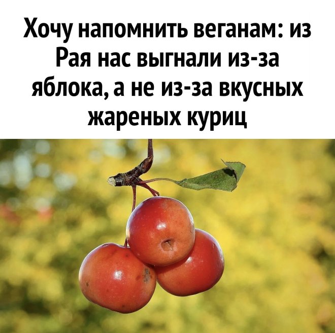 Улыбайтесь, господа, улыбайтесь! (27/12/2024)