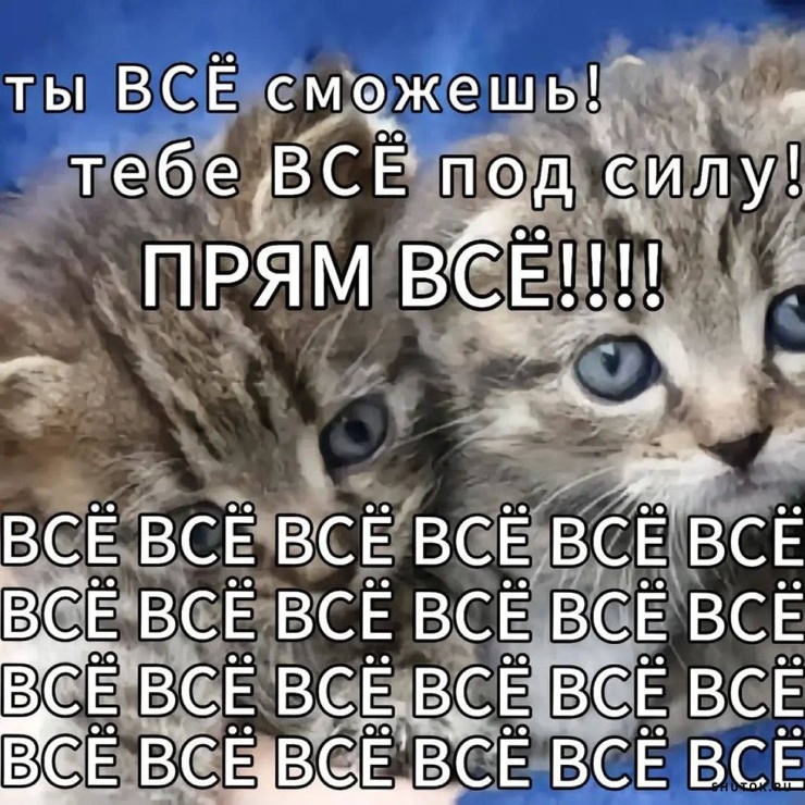 Улыбайтесь, господа, улыбайтесь! (12/11/2024)