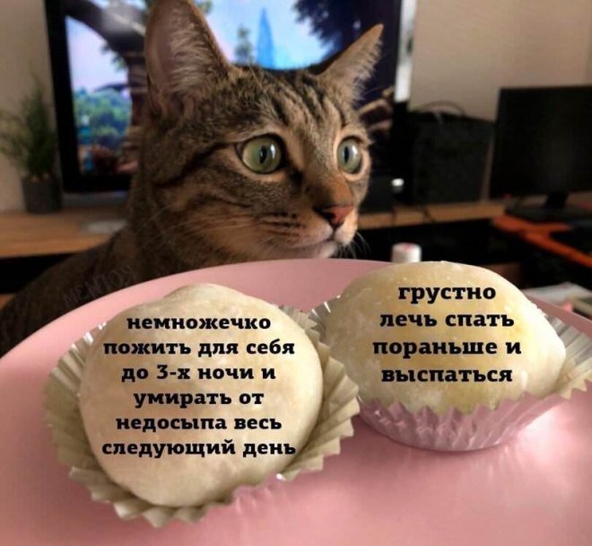 Улыбайтесь, господа, улыбайтесь! (26/09/2024)