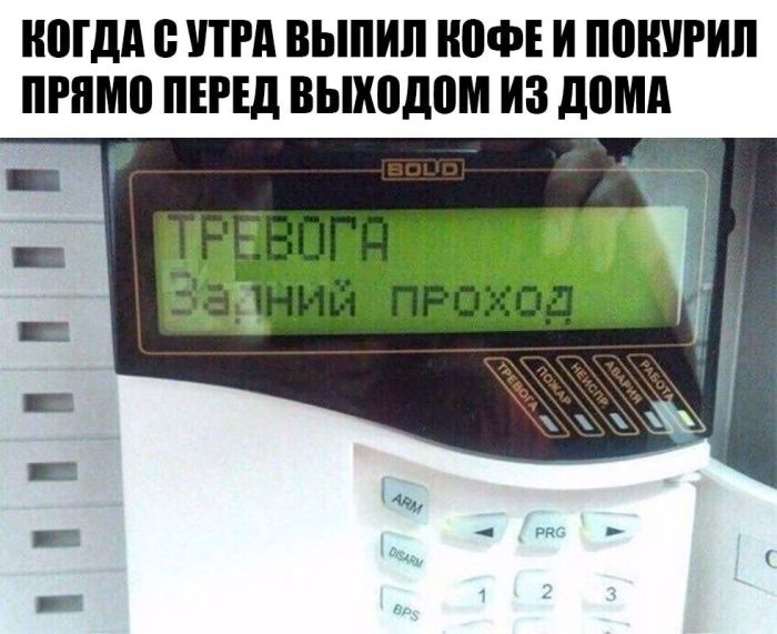 Улыбайтесь, господа, улыбайтесь! (24/12/2024)