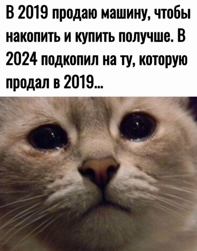 Улыбайтесь, господа, улыбайтесь! (11/11/2024)