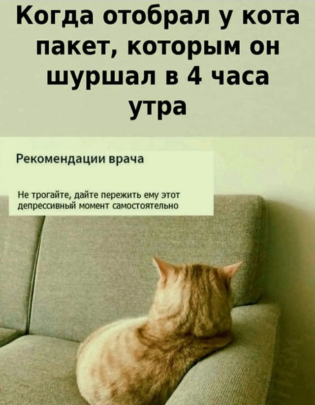 Улыбайтесь, господа, улыбайтесь! (18/11/2024)