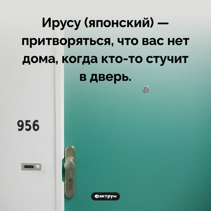 Улыбайтесь, господа, улыбайтесь! (10/03/2025)