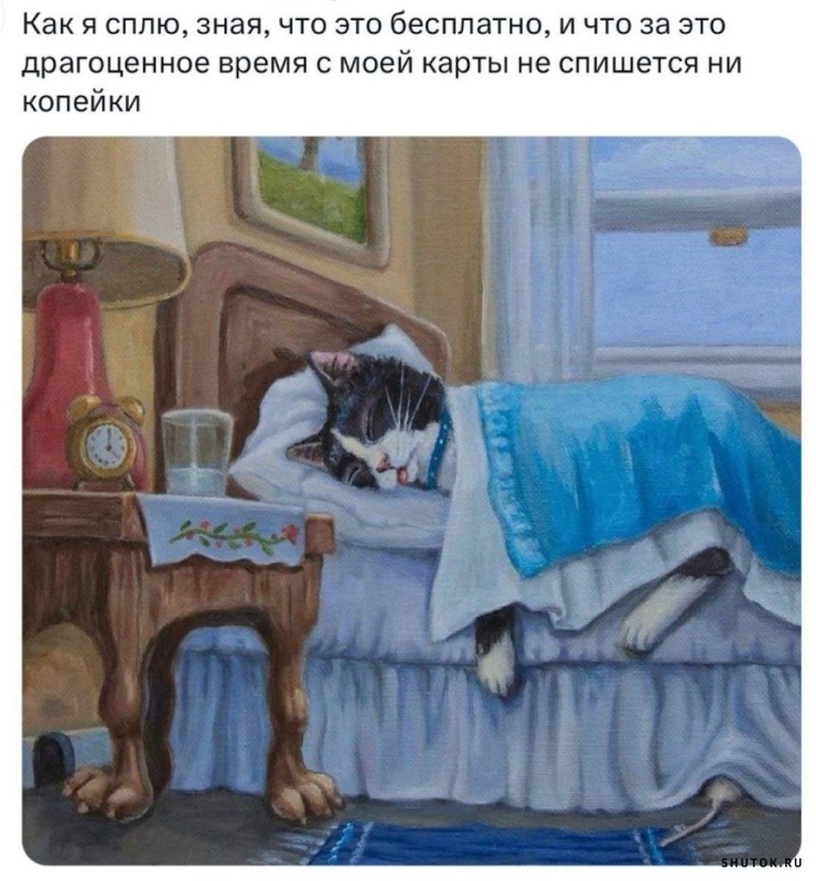 Улыбайтесь, господа, улыбайтесь! (09/10/2024)