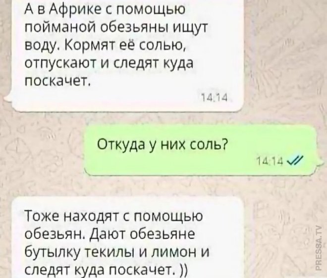 Улыбайтесь, господа, улыбайтесь! (25/06/2024)